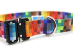 Collar With A Metal Buckle - Pixels