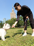 Leash – Travel