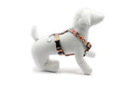Nylon Dog Harness – Boho